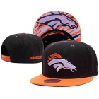 NFL Caps