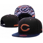 NFL Caps